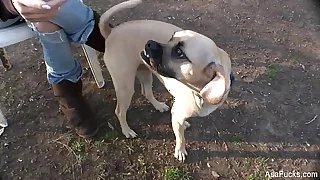 1476 tits porn videos